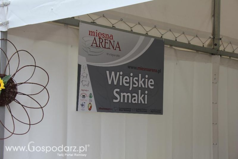 Mięsna Arena 2013 w Poznaniu