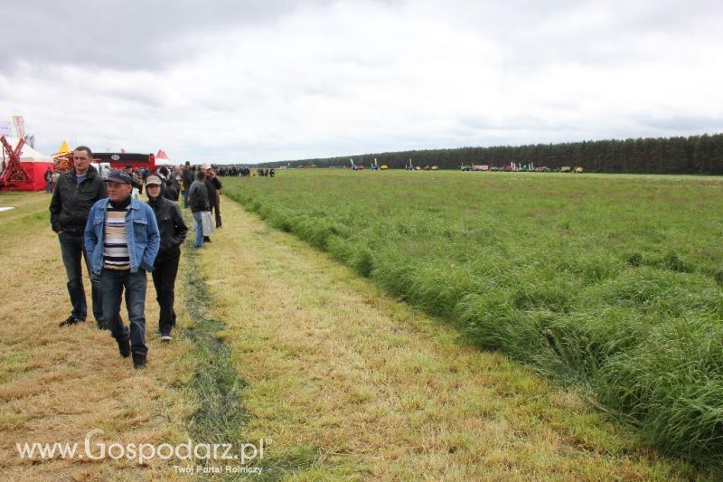 Polskie Zboża i Zielone Agro Show 2013