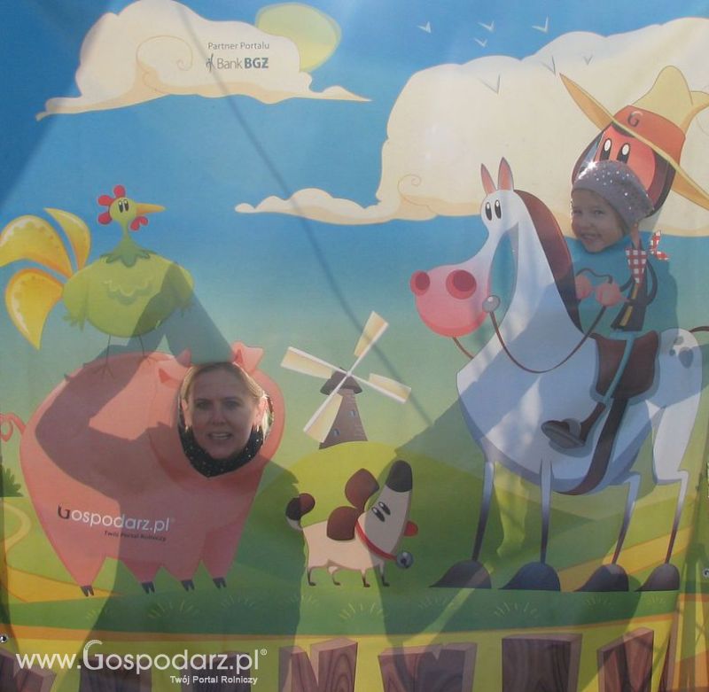 Zdjęcia ze świnką na Agro Show 2012 niedziela