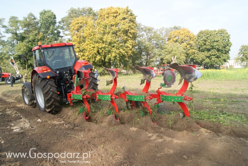 POKAZY POLOWE SKORZĘCIN 13.10.2014