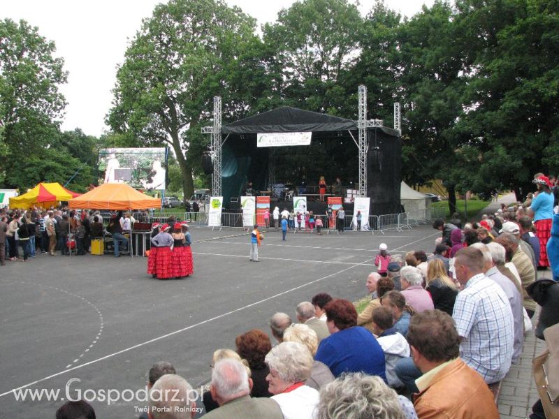 Festiwal Wieprzowiny w Koźminie Wielkopolskim 2013