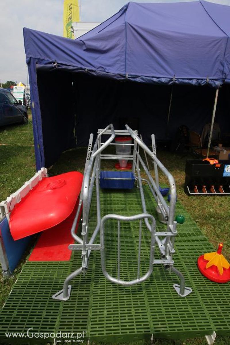 VIII Ogólnopolska Wystawa Bydła Hodowlanego, XXI Regionalna Wystawa Zwierząt Hodowlanych i Dni z Doradztwem Rolniczym w Szepietowie