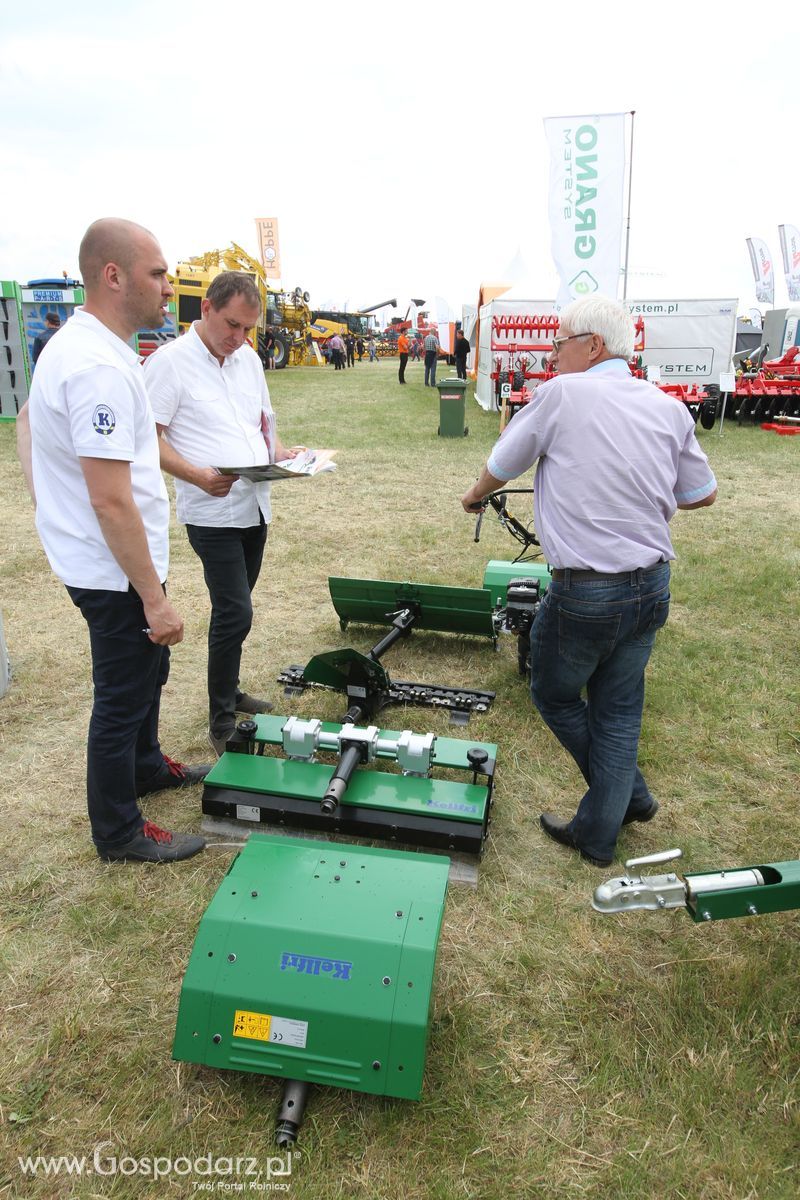 Kellfri na OPOLAGRZE 2016