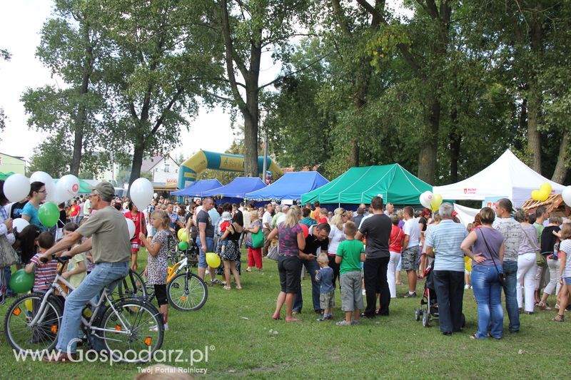 Ogólnopolski Festiwal Wieprzowiny w Łasinie