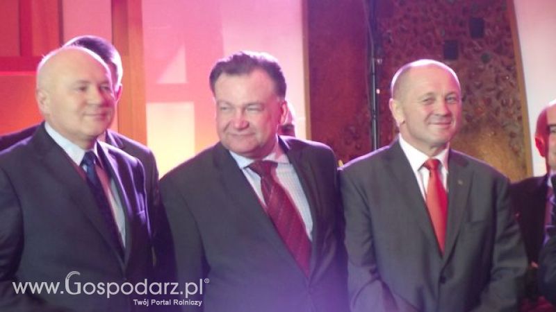 Wybór wójta roku 2011