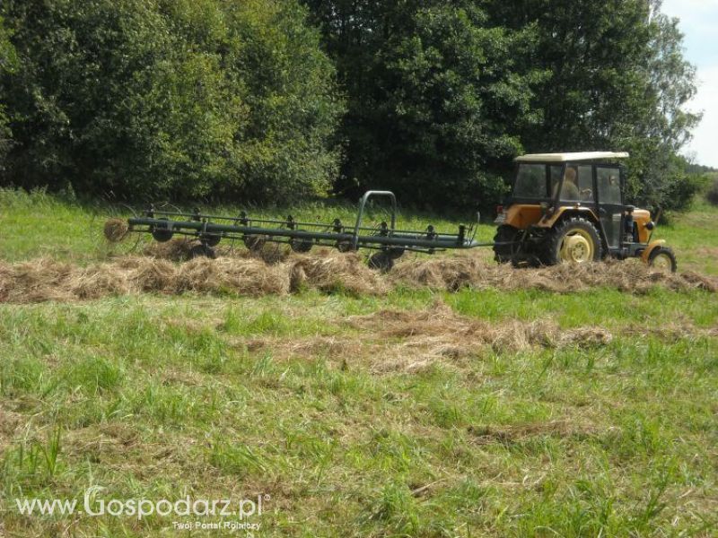 zbieranie siana 2012 ursusem c330m i 1014 de luxe