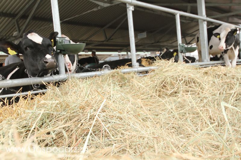 Agro-Tech Minikowo 2018