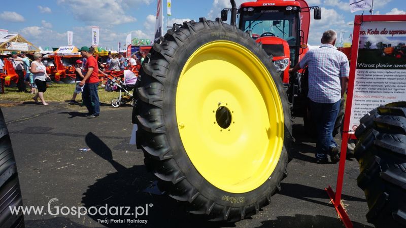 Grasdorf na Opolagrze 2017