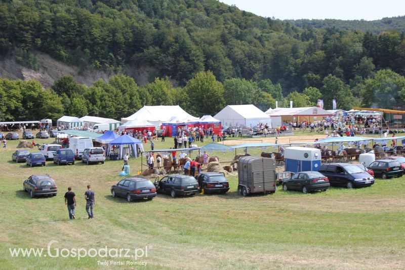 Pokazy konne i wręczenie nagród w Rudawce Rymanowskiej