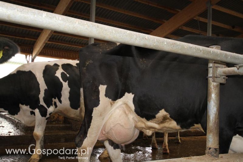 Wyjazd studyjny na farmę Langengrassau w Niemczech