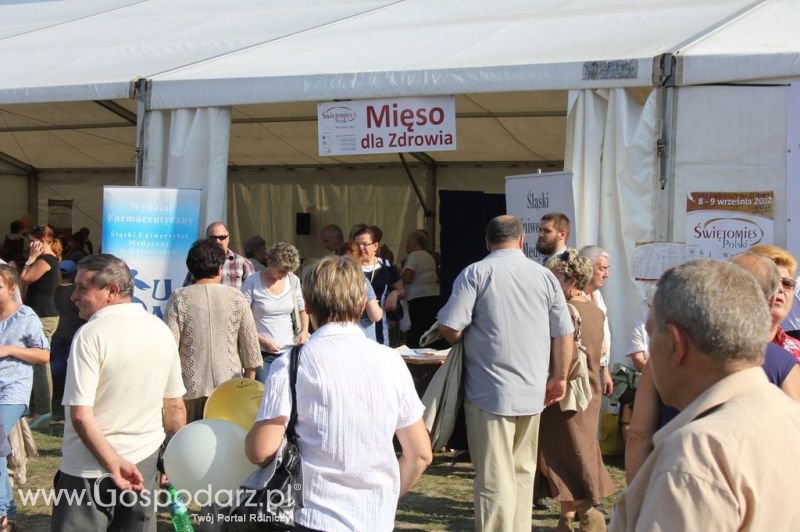 Świętomięs Polski w Chorzowie