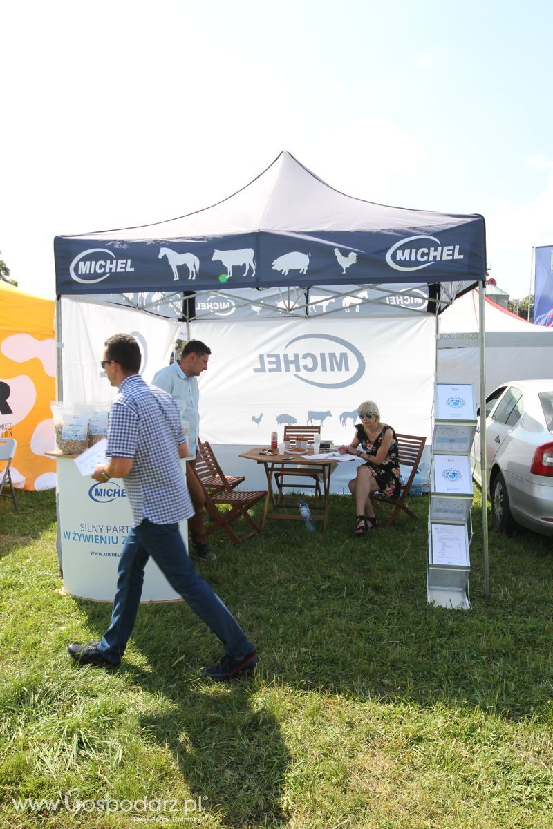  Regionalna Wystawa Zwierząt Hodowlanych W Szepietowie 2016 z Gospodarz.pl