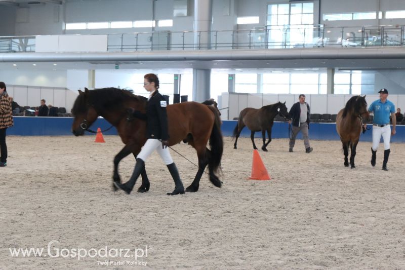 Krajowa Wystawa Zwierząt Hodowlanych w Poznaniu 2017 (niedziela, 7 maja)