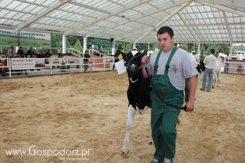 Wystawa bydła Sielinko 2011