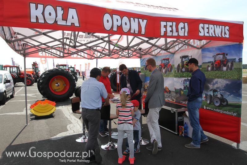 Grasdorf na OPOLAGRZE 2016