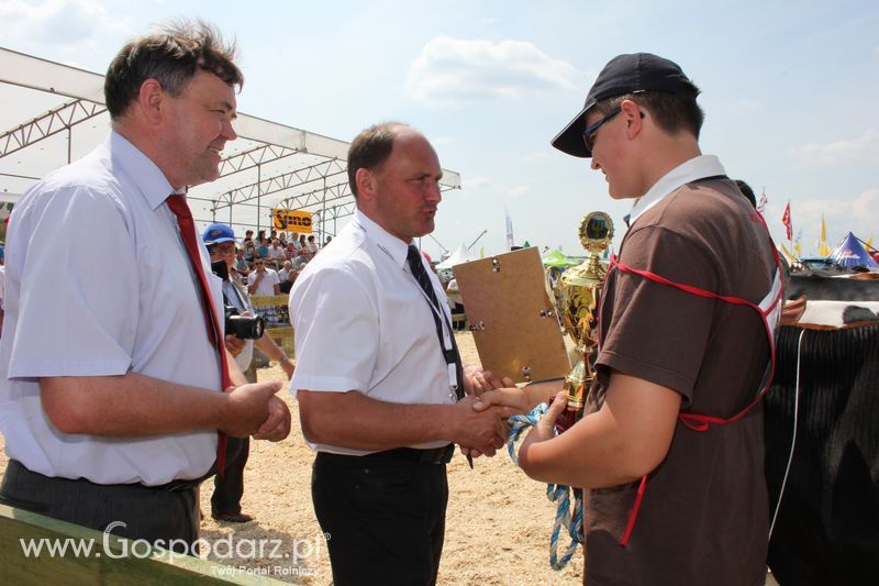 Superchampioni i championi Śląskiej Wystawy Bydła Mlecznego Opolagra 2011