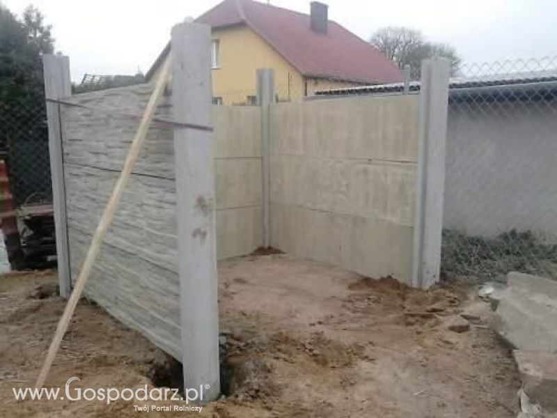 Moje zdjęcia