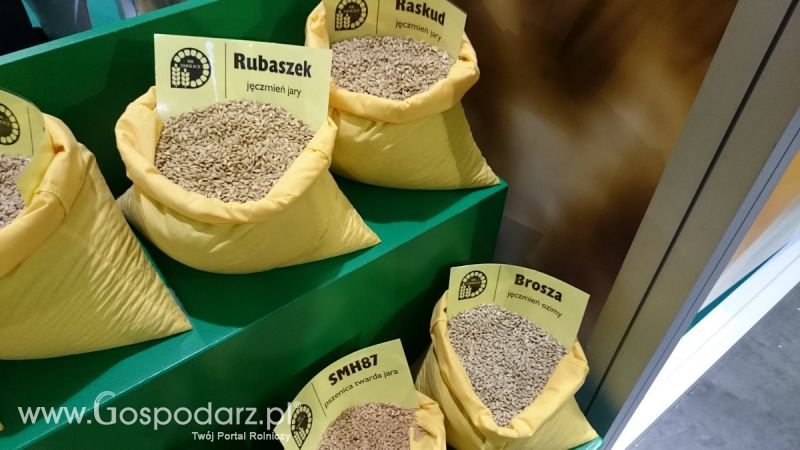 Rodzinny spacer na POLAGRA-PREMIERY 2016 w Poznaniu