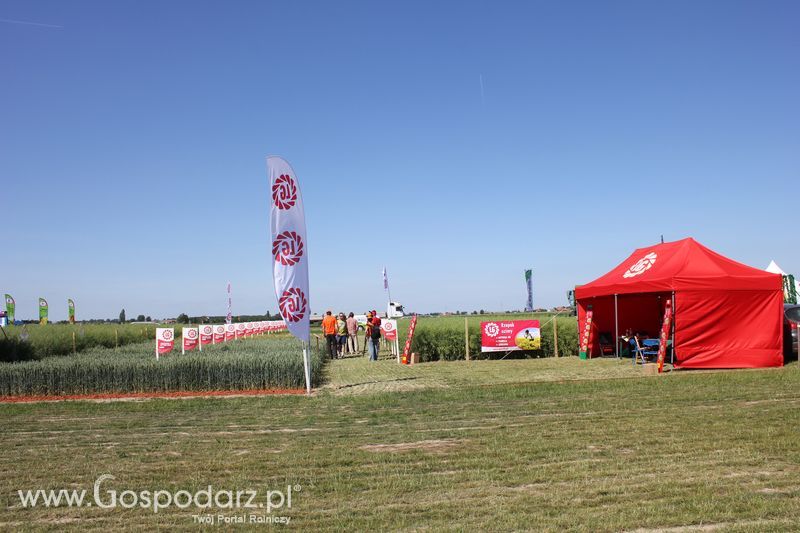 Polskie Zboża 2011 - Piątek 