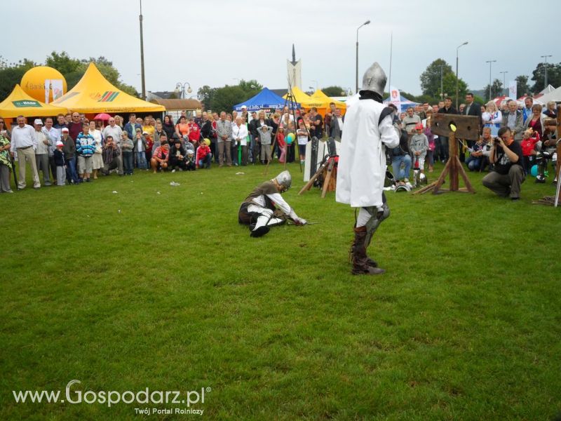 II Festiwal Wieprzowiny w Kwidzyniu