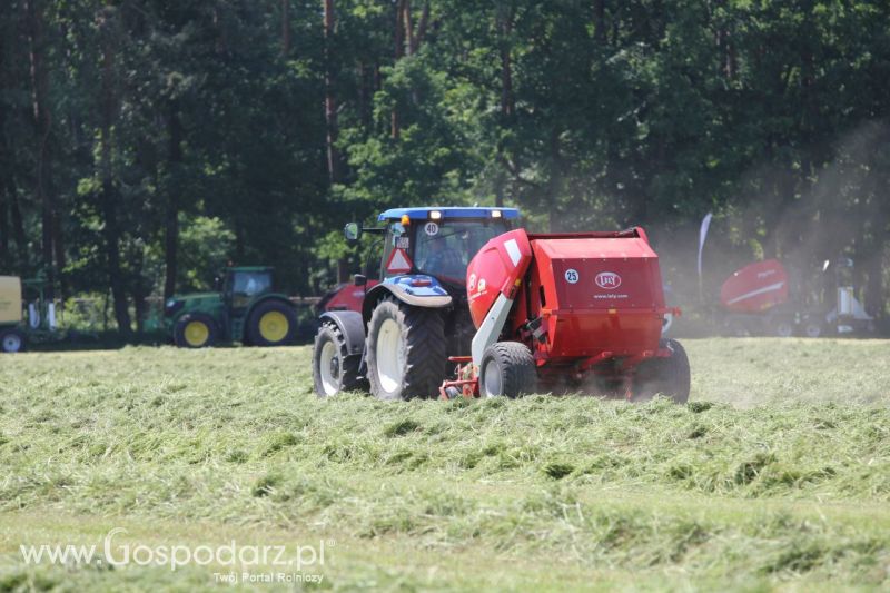 Zielone AGRO SHOW – POLSKIE ZBOŻA 2014 w Sielinku - sobota