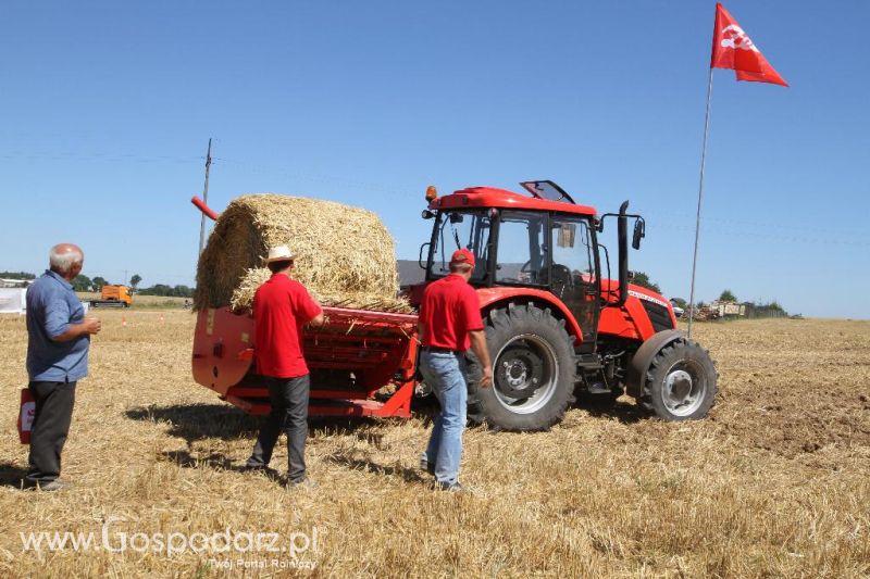 Zetor Family Tractor Show 2013 - Opatów