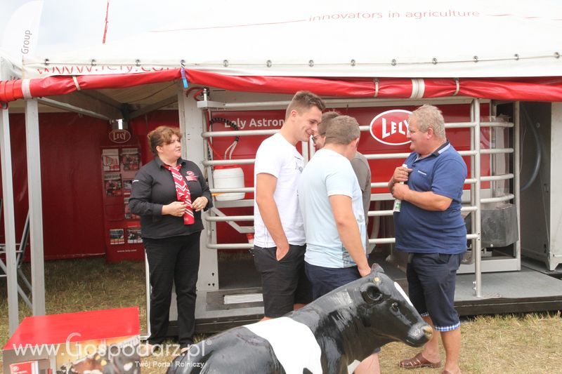 Lely na OPOLAGRA Kamień Śląski 2018