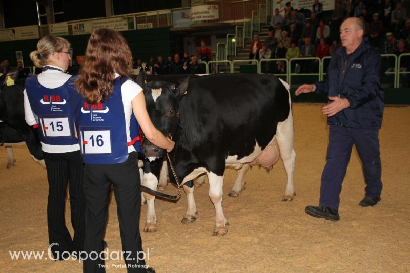 Wystawa  Blickpunkt Rind 2013 w miejscowości Paaren/Glien (Niemcy)