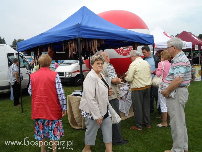 II Festiwal Wieprzowiny w Kwidzyniu