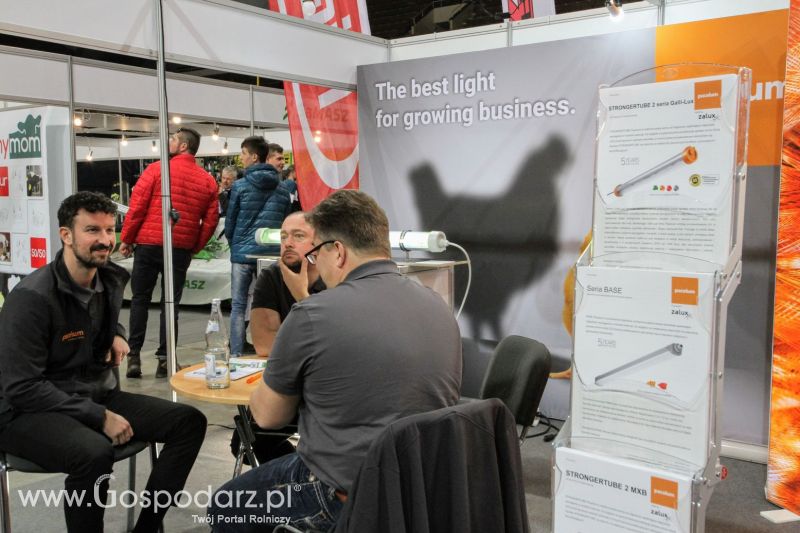 FERMA 2020 dzień 2