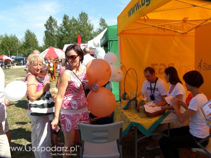 Festiwal Wieprzowiny Targowisko Dolne k/Lubawy 2012