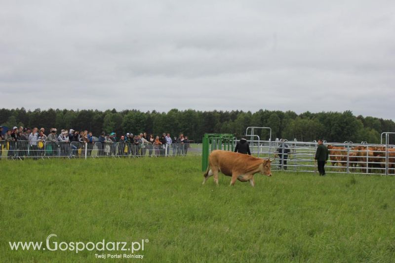 Polskie Zboża i Zielone Agro Show 2013