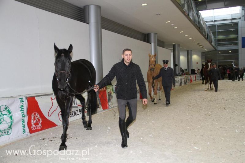 CAVALIADA 2013 w Poznaniu