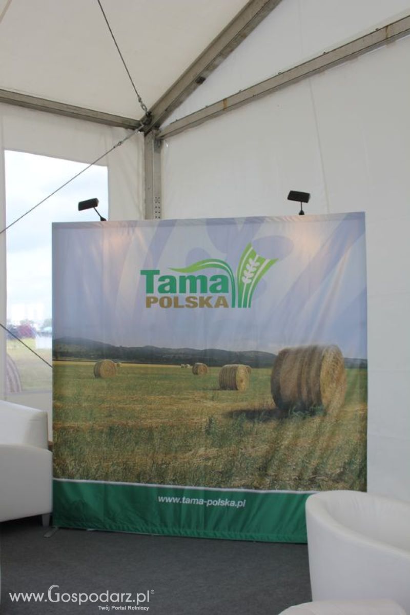 Tama na targach rolniczych Agroshow w Bednarach (2011).