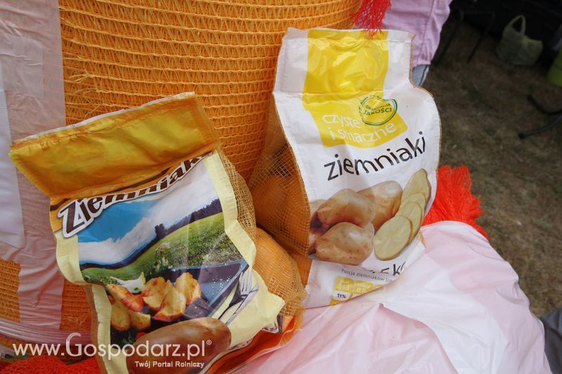 Domasz na OPOLAGRZE 2015