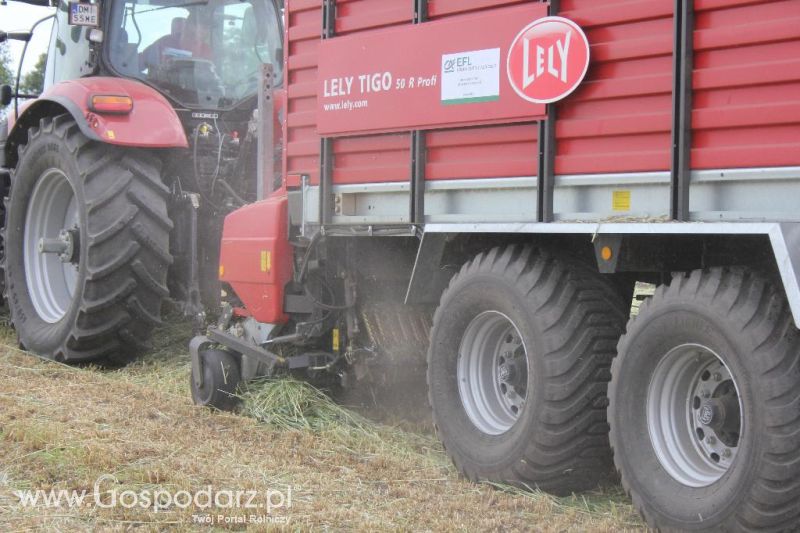 Pokazy polowe Romanów k/Krotoszyna