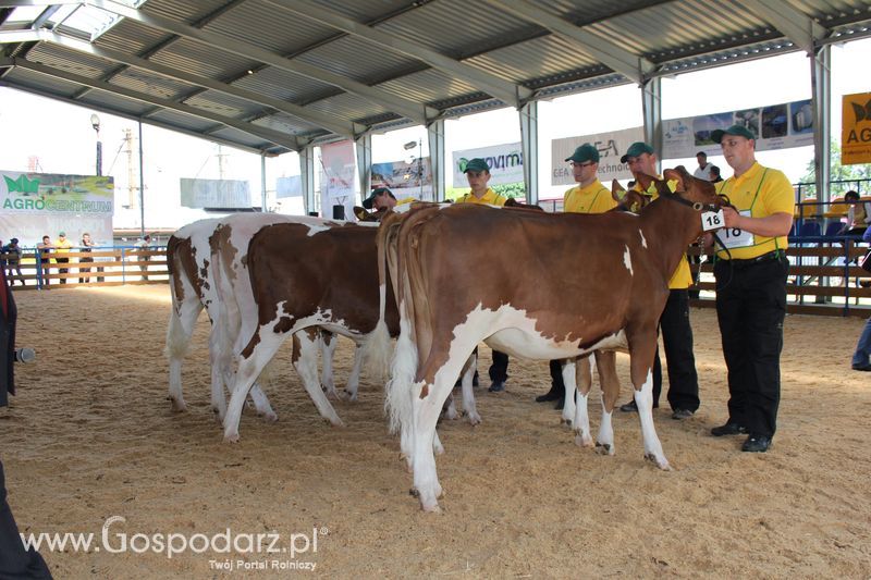 XVIII Regionalna Wystawa Zwierząt Hodowlanych i Dni z Doradztwem Rolniczym w Szepietowie - Sobota