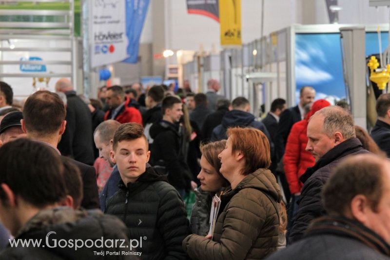 Ferma 2019 dzień 2