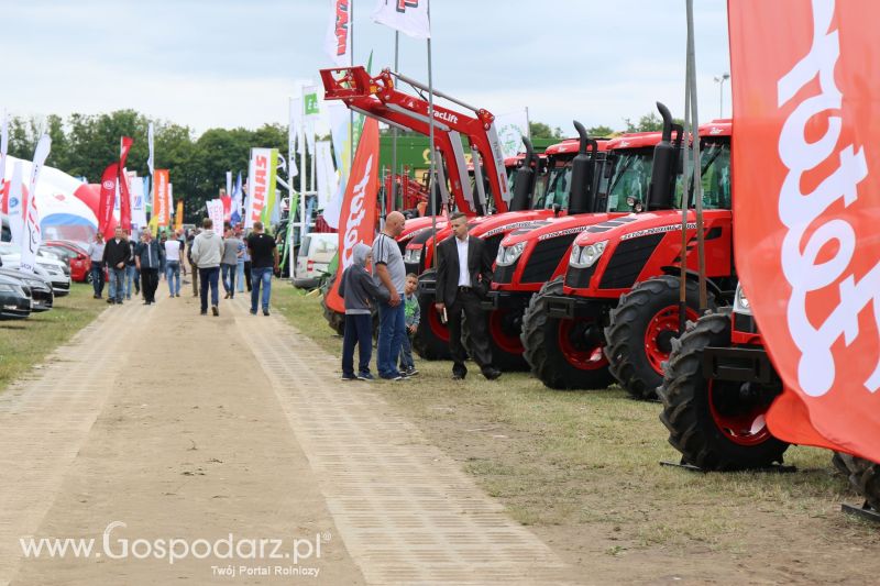 Regionalna Wystawa Zwierząt Hodowlanych i Dni z Doradztwem Rolniczym w Szepietowie 2017