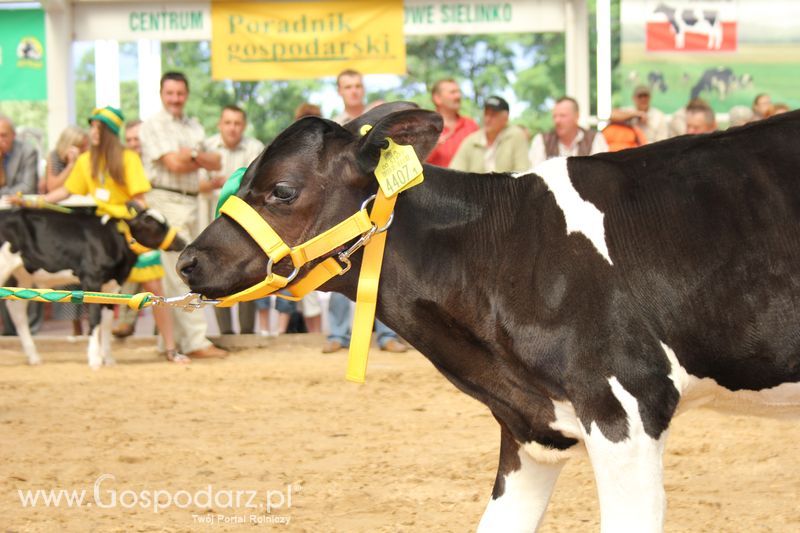 Mali hodowcy na XVII Regionalnej Wystawie Zwierząt Hodowlanych Sielinko 2011