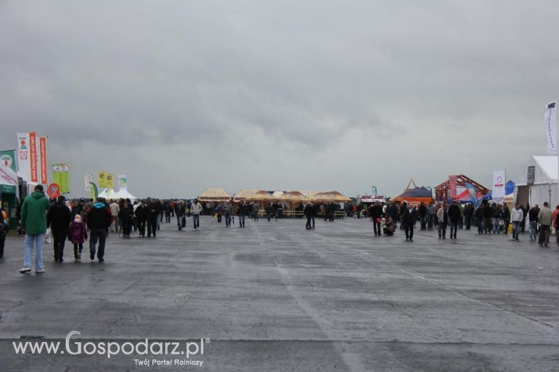 Polskie Zboża i Zielone Agro Show 2013