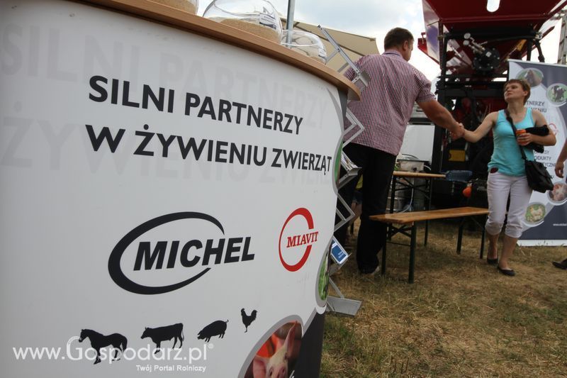 Michel na OPOLAGRZE 2015