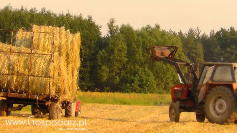 Zbiór Słomy 2013