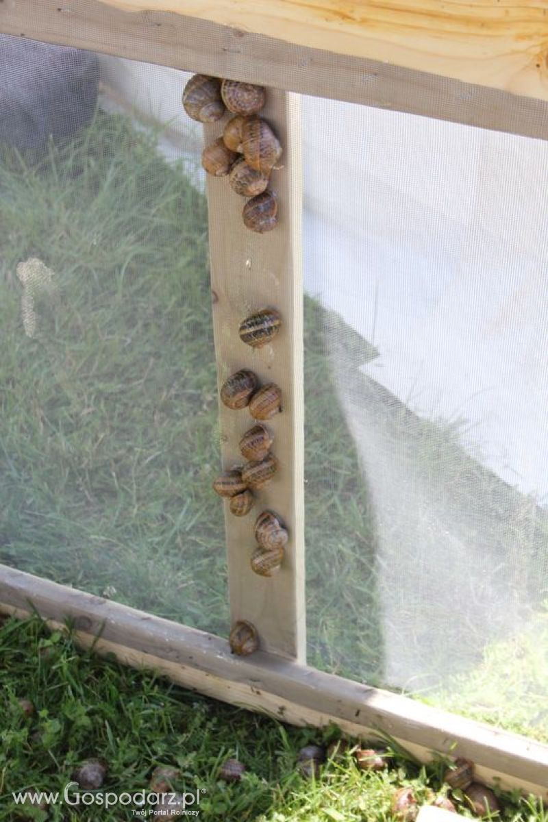 Konferencja Naukowo-Techniczna pt. Innowacyjność w produkcji zwierzęcej - oczekiwania czy konieczność dzień drugi