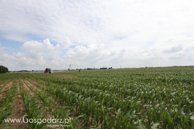 Pokazy pracy polowej opryskiwacza rolniczego samobieżnego Herkules