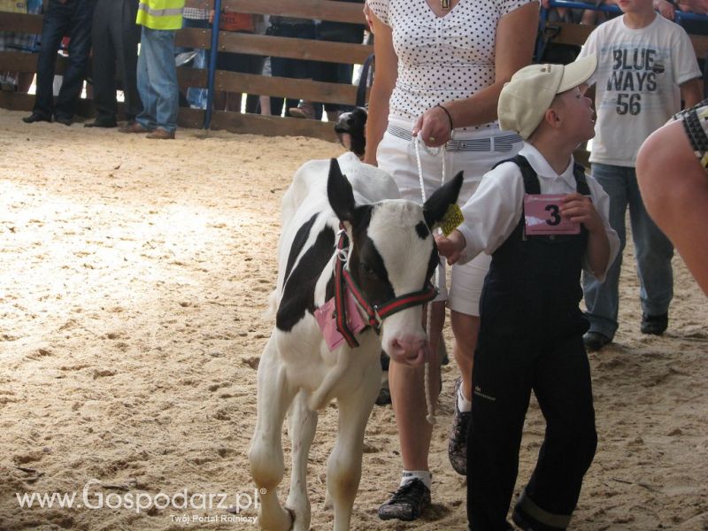 Młody Hodowca - Szepietowo 2012 XIX Regionalna Wystawa Zwierząt Hodowlanych