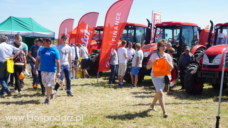 Zetor na ZIELONE AGRO SHOW w Ułężu 2017