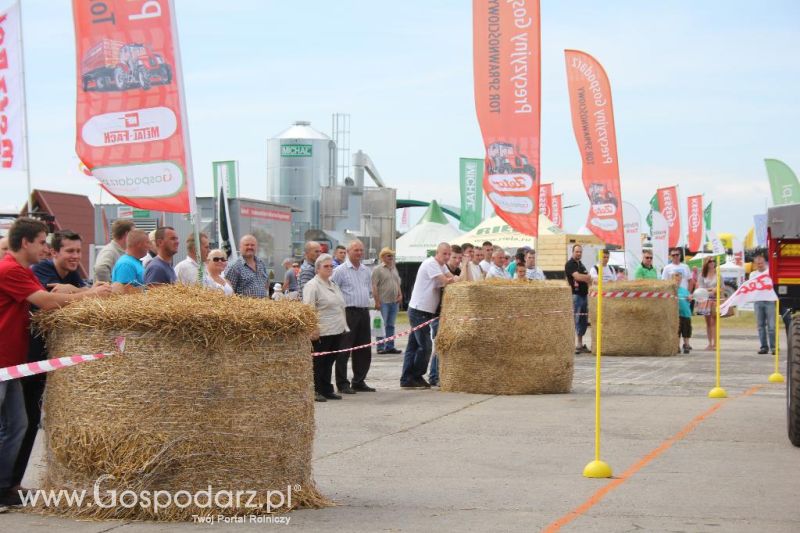 Turniej Precyzyjny Gospodarz Opolagra 2013 niedziela