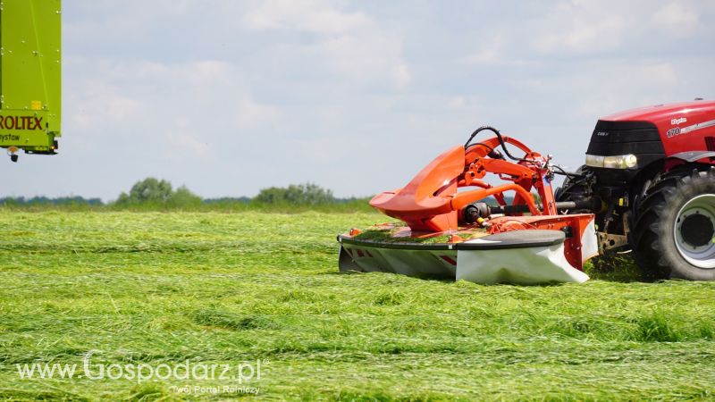 ZIELONE AGRO SHOW 2017 w Ułężu (niedziela, 28 maja)