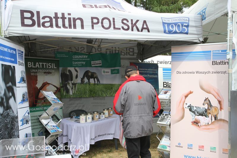 Zielone AGRO SHOW - Polskie Zboża 2015 w Sielinku